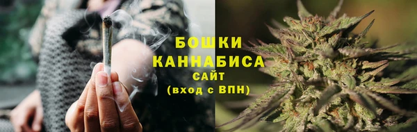 сатива Гусиноозёрск