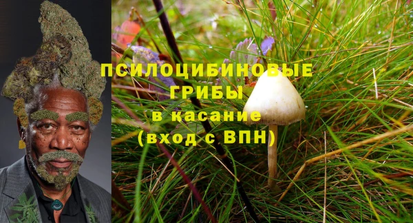 сатива Гусиноозёрск