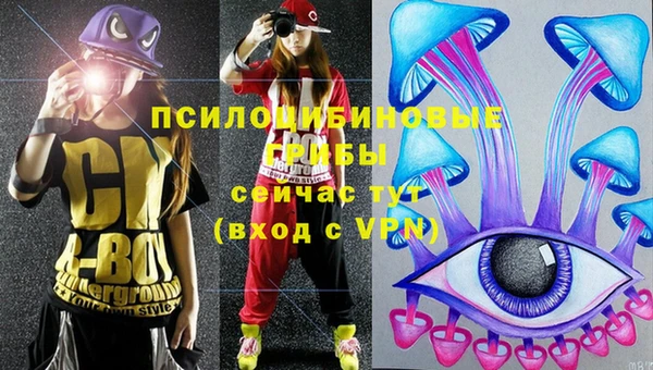 скорость Гусь-Хрустальный