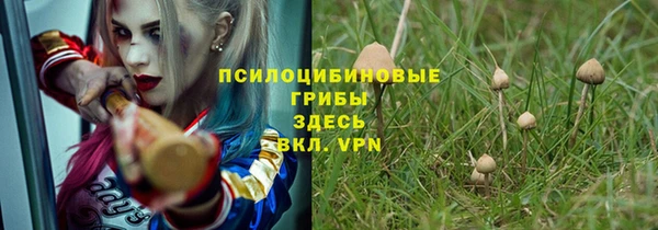 твердый Дмитриев