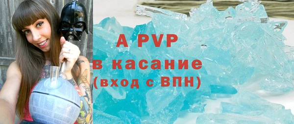 сатива Гусиноозёрск