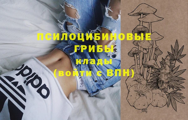 сатива Гусиноозёрск