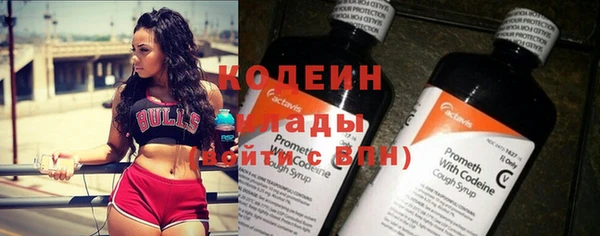 дмт Дмитровск
