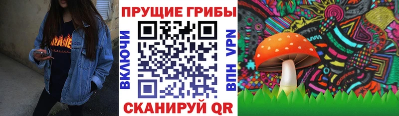 Галлюциногенные грибы ЛСД  Купить  Выборг 